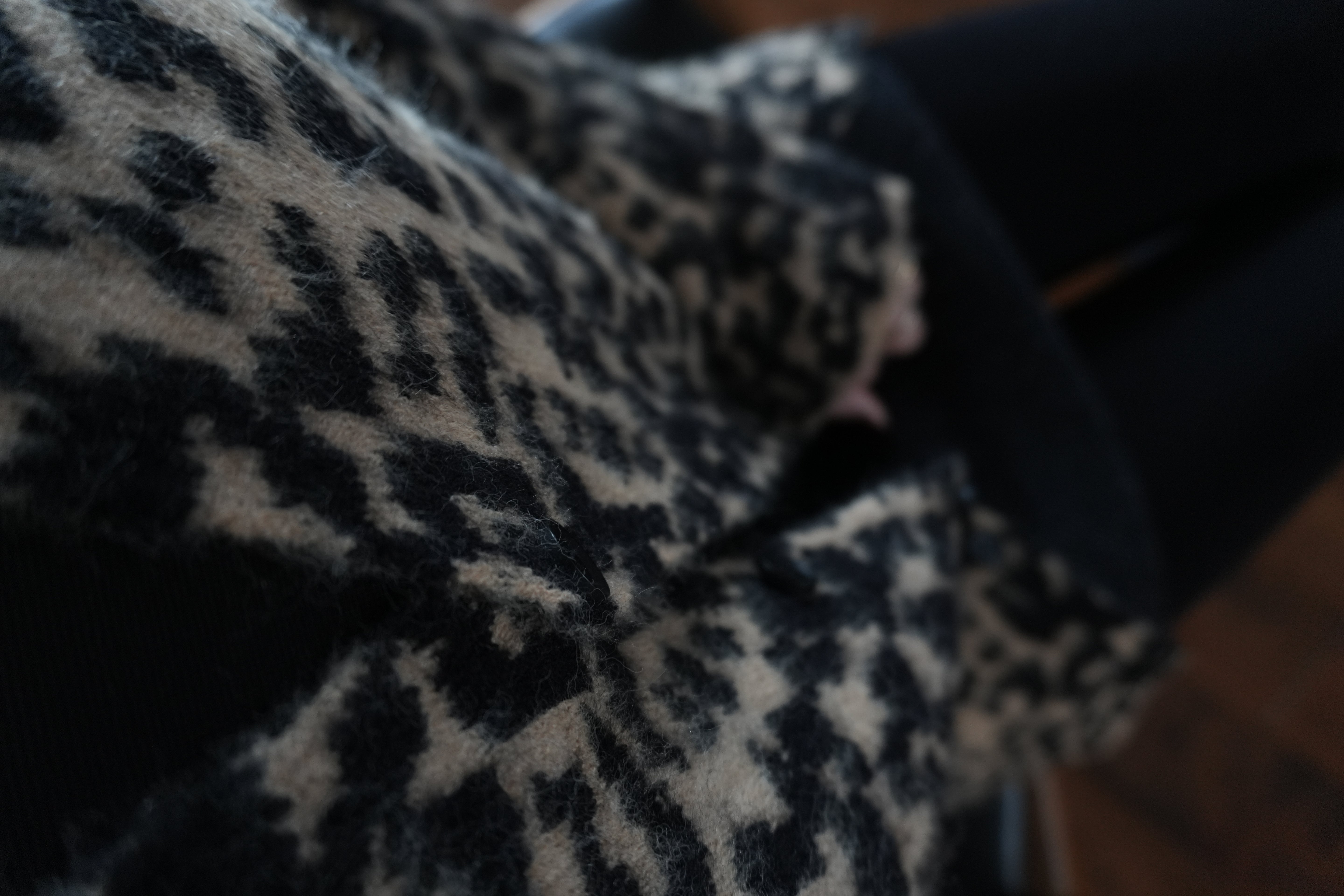 Urban Leopard Jacquard Cardigan