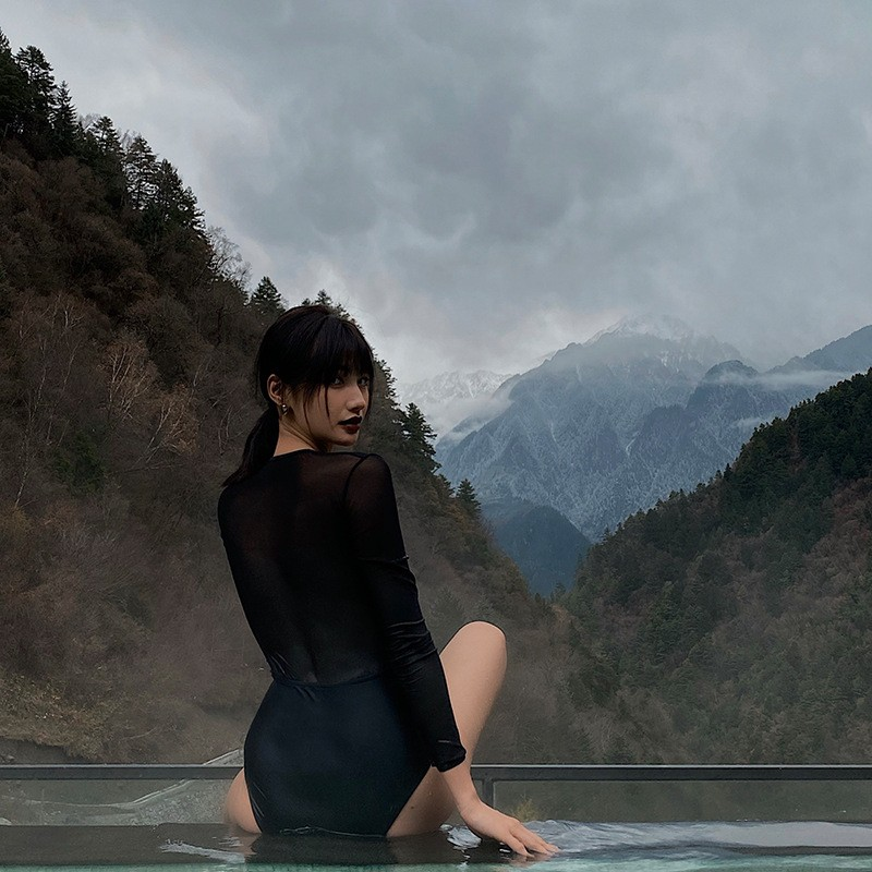 Sheer Panel Long Sleeve Swimsuit