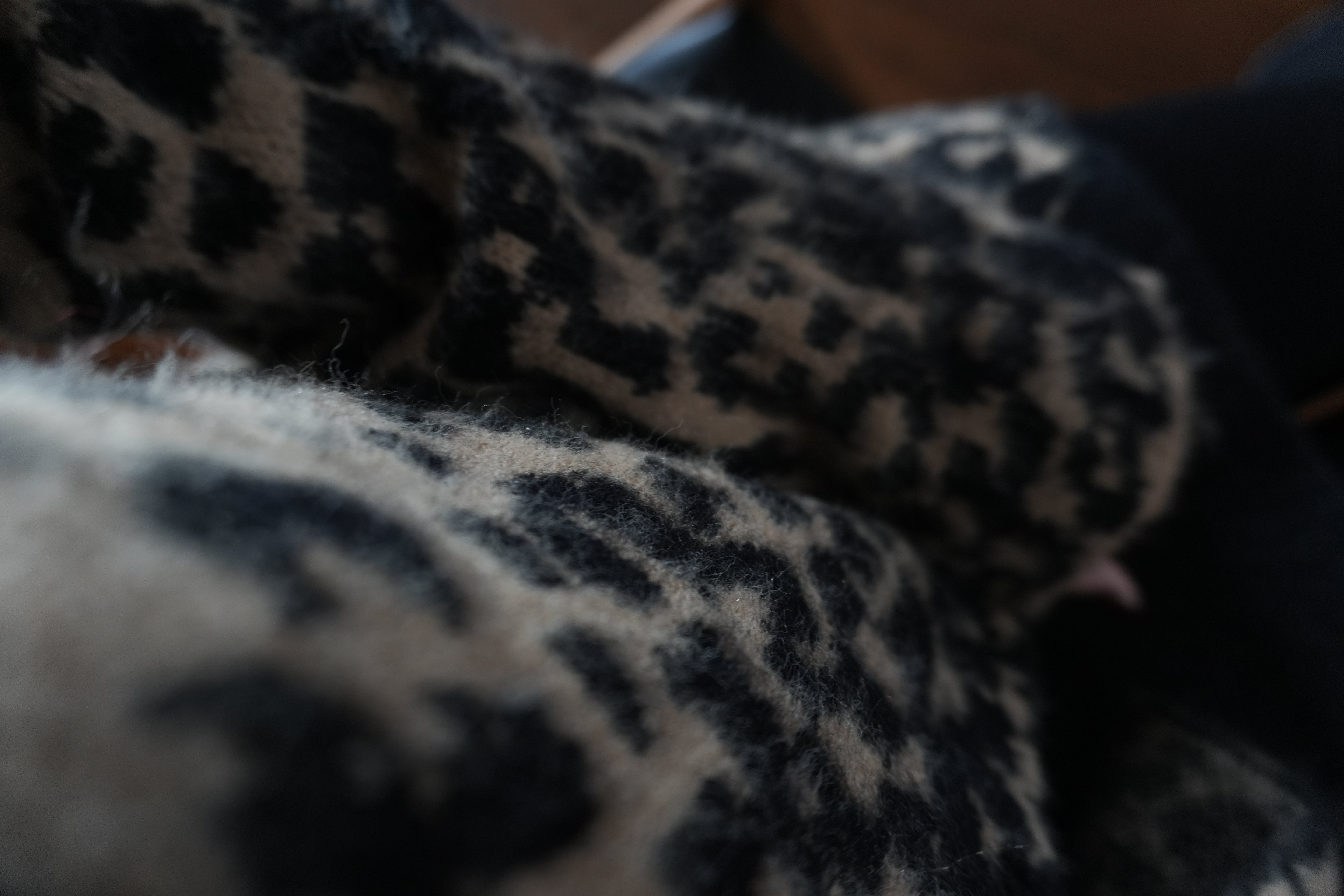 Urban Leopard Jacquard Cardigan