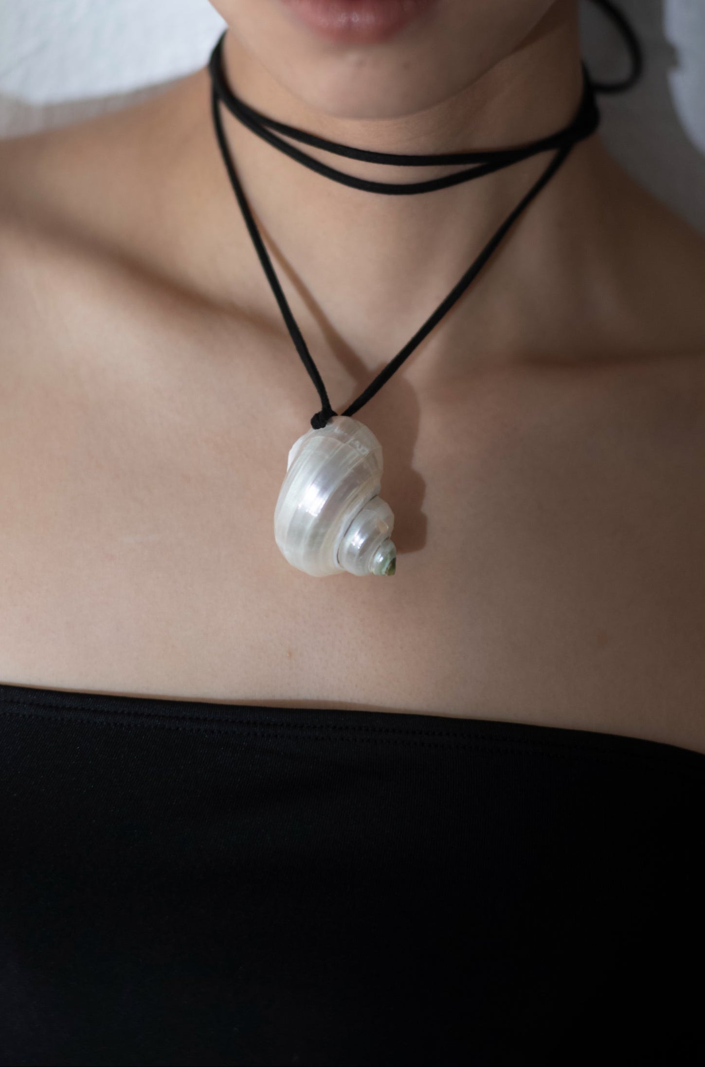 Moonlit Shell